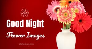 Read more about the article 50+ Beautiful Good Night Flowers Images for Your Loved Ones