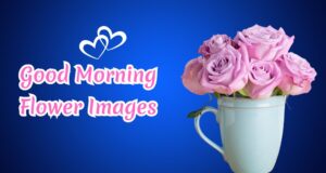 Read more about the article Flowers Good Morning Pics and Images To Make Your Day Beautiful