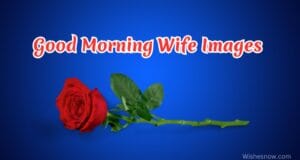 Good morning wife