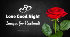 Read more about the article Love Good Night Images for Your Beloved Husband [HD]